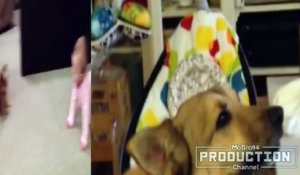 Babies and dogs talking – Funny dog & baby compilation
