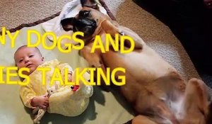 Funny dogs and babies talking  Cute dog  baby compilation (2)