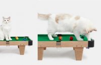 Ce billard miniature pour votre chat le rendra complètement gaga (et vous aussi)
