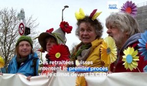 Inaction climatique : la France et la Suisse attaquées devant la CEDH