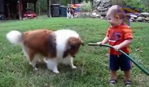 Funny babies and animals bathing together - Cute baby & animal compilation - FULL HD