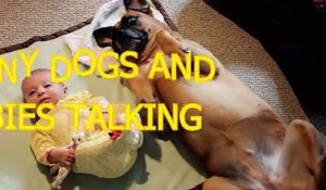 Funny dogs and babies talking - Cute dog & baby compilation (3)