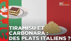 Les carbonara et le tiramisu sont-ils des plats traditionnels italiens ? / ARTE Désintox du 03/04/2023