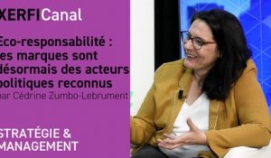 Eco-responsabilité : les marques sont désormais des acteurs politiques reconnus [Cédrine Zumbo-Lebrument]