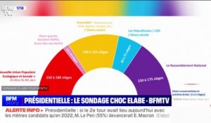 Selon un sondage Elabe pour BFMTV, en cas d'élections législatives anticipées l'alliance "Ensemble !" n'obtiendrait pas de majorité relative