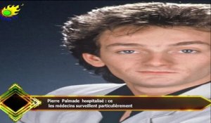 Pierre Palmade hospitalisé : ce  les médecins surveillent particulièrement