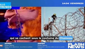 Mask Singer 2023 : Mickaël Youn et Vincent Dessagnat se dévoilent en Chameau, indice surprenant dévoilé (vidéo)