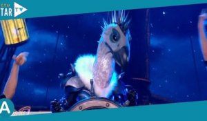 Mask Singer 2023 : les internautes persuadés d'avoir démasqué la star derrière le vautour