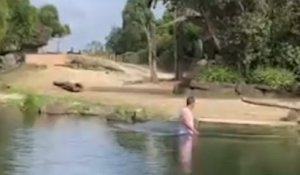 Nouvelle-Zélande : un visiteur du zoo d’Auckland se baigne au milieu des rhinocéros