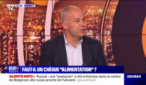 Arnaud Rousseau, président de la FNSEA, souhaite la mise en place d'un "chèque alimentation"