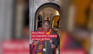 Harry Potter : une exposition magique au cœur de Paris