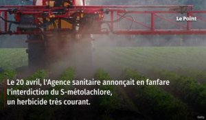 Pesticides : les vraies raisons du bras de fer entre l’Anses et le gouvernement