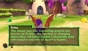 Spyro: A Hero's Tail online multiplayer - ps2