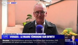 Fillette tuée dans les Vosges: le maire de Rambervillers affirme que le suspect était "connu de la police municipale"