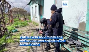 Plus de 345 000 mines anti-personnel neutralisées en Ukraine depuis le début de la guerre