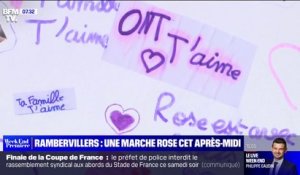 Vosges: les habitants de Rambervillers pourront rendre hommage à la fillette lors d'une "marche rose" ce samedi après-midi