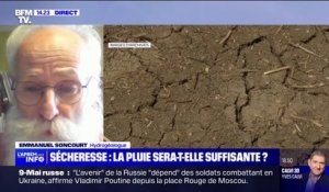 Sécheresse: "Il n'y a pratiquement aucune pluie qui pourra atteindre les nappes phréatiques", explique l'hydrogéologue Emmanuel Soncourt