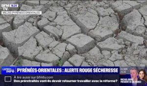 Pyrénées-Orientales: des restrictions pour faire face à une sécheresse historique