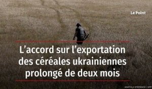 L’accord sur l’exportation des céréales ukrainiennes prolongé de deux mois
