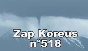 Zap Koreus n°518