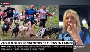 De plus en plus de chiens empoisonnés en France: Voici les conseils de la vétérinaire Hélène Gateau si votre animal est empoisonné - VIDEO