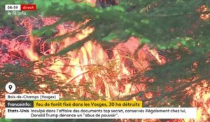Vosges: Un feu de forêt se poursuit ce matin sur la commune de Bois-de-Champ, où 30 hectares ont déjà brûlé - Les flammes "progressent doucement" malgré l'action des pompiers - VIDEO