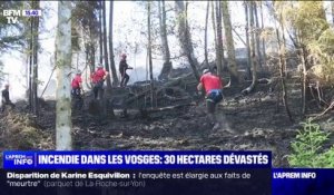 Vosges: l'incendie qui a dévasté 30 hectares a été fixé