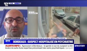 Agression d'une septuagénaire et de sa petite-fille: "Bordeaux n'est plus la belle endormie", pour Sylvain Charenat (Alliance Police nationale)