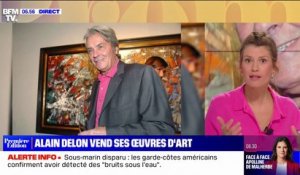 Alain Delon vend 84 œuvres d'art aux enchères