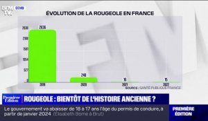 Les cas de rougeole ont drastiquement baissé en France depuis la vaccination obligatoire