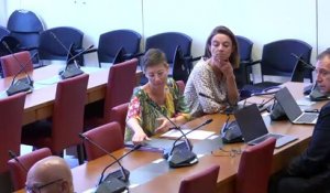 Commission des finances : Mme Marie-Anne Barbat-Layani, présidente de l’Autorité des marchés financiers ; M. Jean Pisani Ferry et Mme Selma Mahfouz, auteurs du rapport les incidences économiques de l’action pour le climat - Mercredi 28 juin 2023