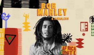 Bob Marley & The Wailers - Three Little Birds (Oxlade Visualiser)