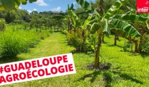 Guadeloupe : comment vivre dans un environnement chlordéconé ?