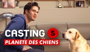 CASTING(S) : Planète des chiens