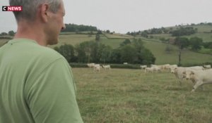 La crainte du Mercosur pour les agriculteurs français