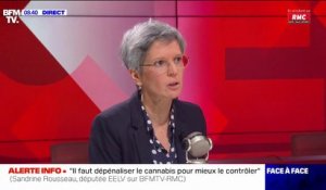Sandrine Rousseau: "Il faut dépénaliser le cannabis pour mieux le contrôler"