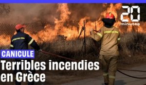 Canicule en Europe : Déjà frappée par de fortes chaleurs, la Grèce est désormais en proie aux flammes
