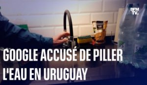 En Uruguay, Google est accusé de piller l'eau
