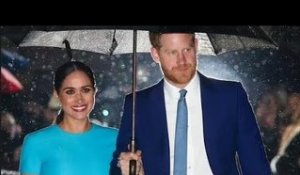 L'accordo Netflix tra il principe Harry e Meghan Markle in una situazione "difficile" - afferma una