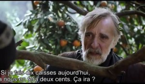 Mandarines (2013) - Bande annonce
