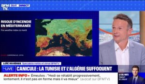 Canicule: le dôme de chaleur, responsable des températures extrêmes en Tunisie et Algérie, se déplace vers la Grèce