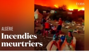 Incendies en Algérie : au moins 34 personnes tuées