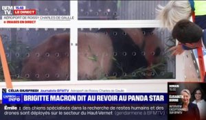 Le panda Yuan Meng se prépare à quitter la France en avion, sa marraine Brigitte Macron est présente pour son départ