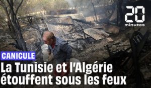 Canicule : La Tunisie et l’Algérie sont en proie aux chaleurs et aux feux