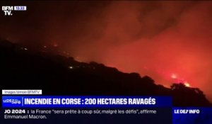 Incendie en Corse: le feu est fixé, 200 hectares ravagés