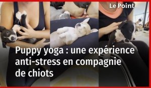 Qu'est-ce que le puppy yoga ?