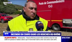 Incendie à Lançon-Provence: 228 sapeurs-pompiers déployés pour fixer un feu qui a parcouru plus de 30 hectares
