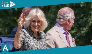 "Ça ressemble beaucoup à..." : Charles III et Camilla en plein fou rire devant une tourte insolite,