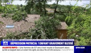 Enfant blessé par une chute d'arbre en Charente-Maritime: "Il a été évacué avec un traumatisme crânien et venait d'être réanimé", indique le sous-préfet de La Rochelle