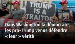 Dans Washington la démocrate, les pro-Trump venus défendre « leur » vérité